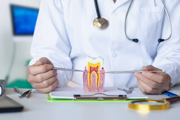 Best Emergency Dentist for Knocked-Out Tooth in Westphalia, MD